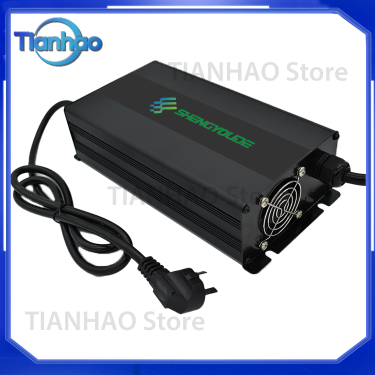Lifepo4 Battery Charger Smart Automatic - Automatisches Intelligentes 2000W Batterieladegerät für Blei-Säure