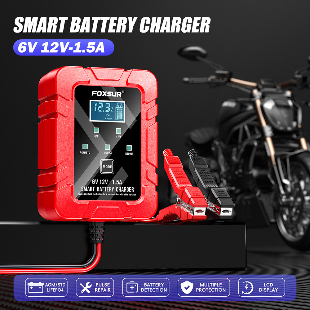 FOXSUR 6V 12V Automatische Sma – Lifepo4 Battery Charger Smart Automatic Bewertung und Preis