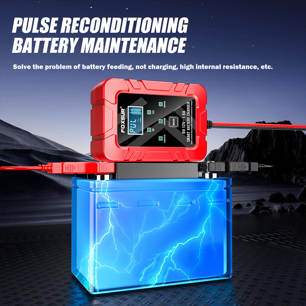 FOXSUR 6V 12V Automatische Sma – Lifepo4 Battery Charger Smart Automatic Bewertung und Preis