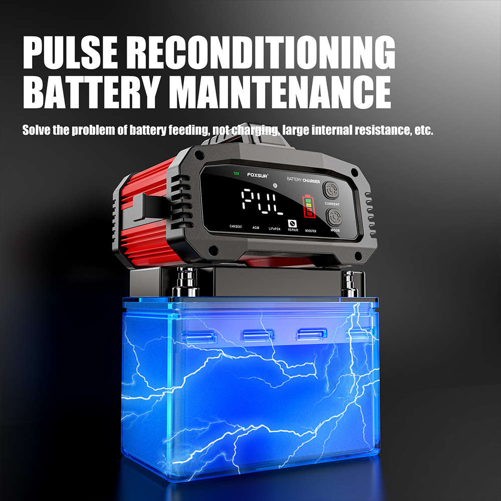 FOXSUR 20A/10A Auto- und Motor – Smart Car Battery Charger 12V 24V 20A Bewertung und Preis