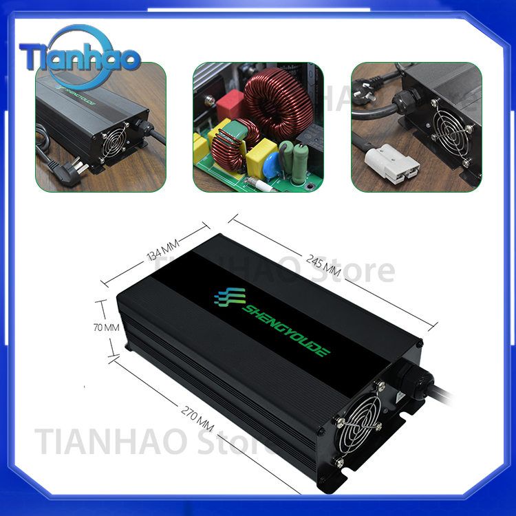 Automatisches Intelligentes 20 – Lifepo4 Battery Charger Smart Automatic Bewertung und Preis