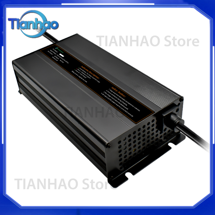 Automatisches Intelligentes 20 – Lifepo4 Battery Charger Smart Automatic Bewertung und Preis