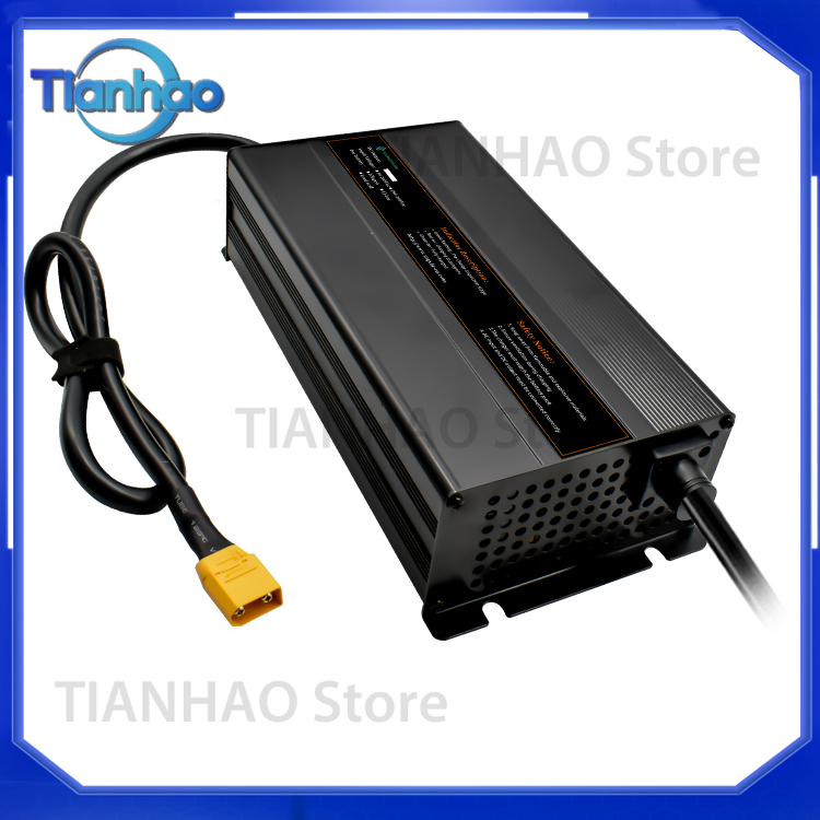Automatisches Intelligentes 20 – Lifepo4 Battery Charger Smart Automatic Bewertung und Preis