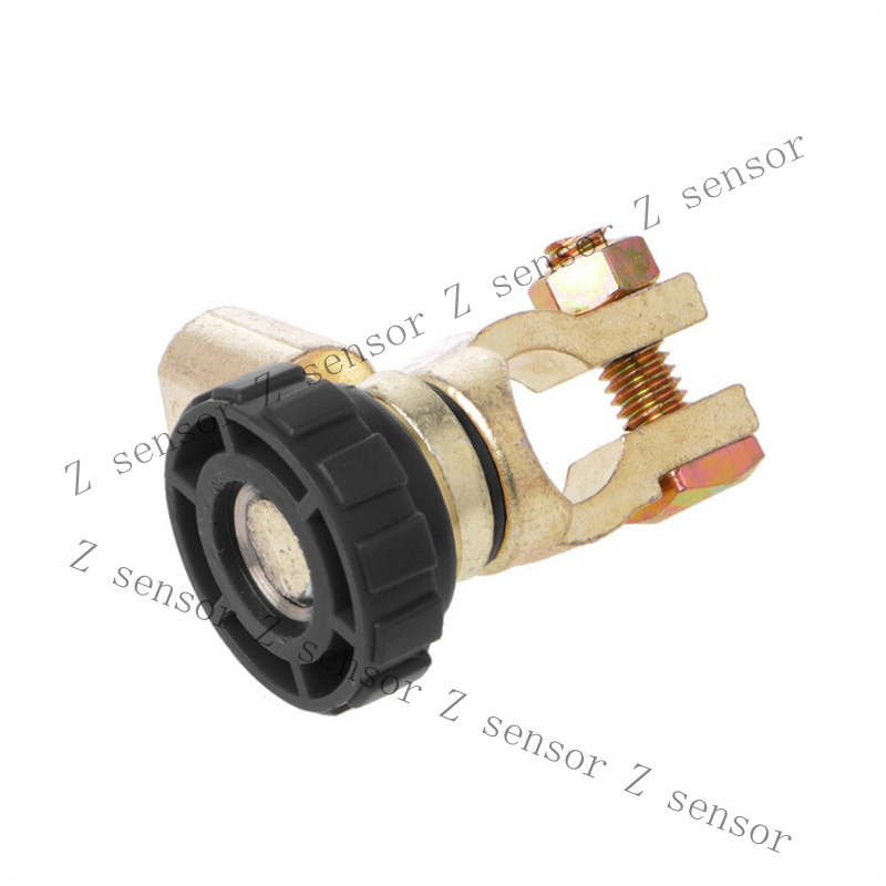 Autobatterie-Verbindungsanschl – Battery Disconnect Switch Master Cut Off Bewertung und Preis
