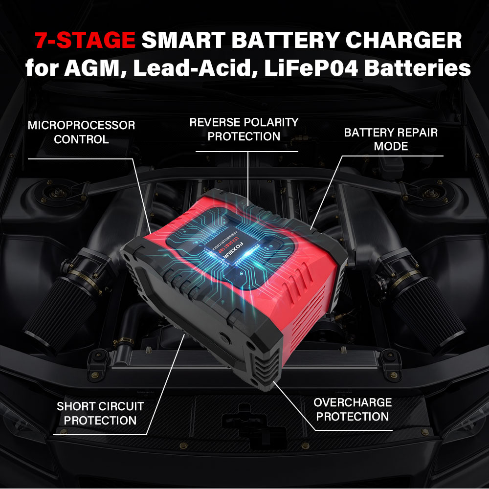 20A/10A Auto- und Motorrad-Bat – Smart Car Battery Charger 12V 24V 20A Bewertung und Preis